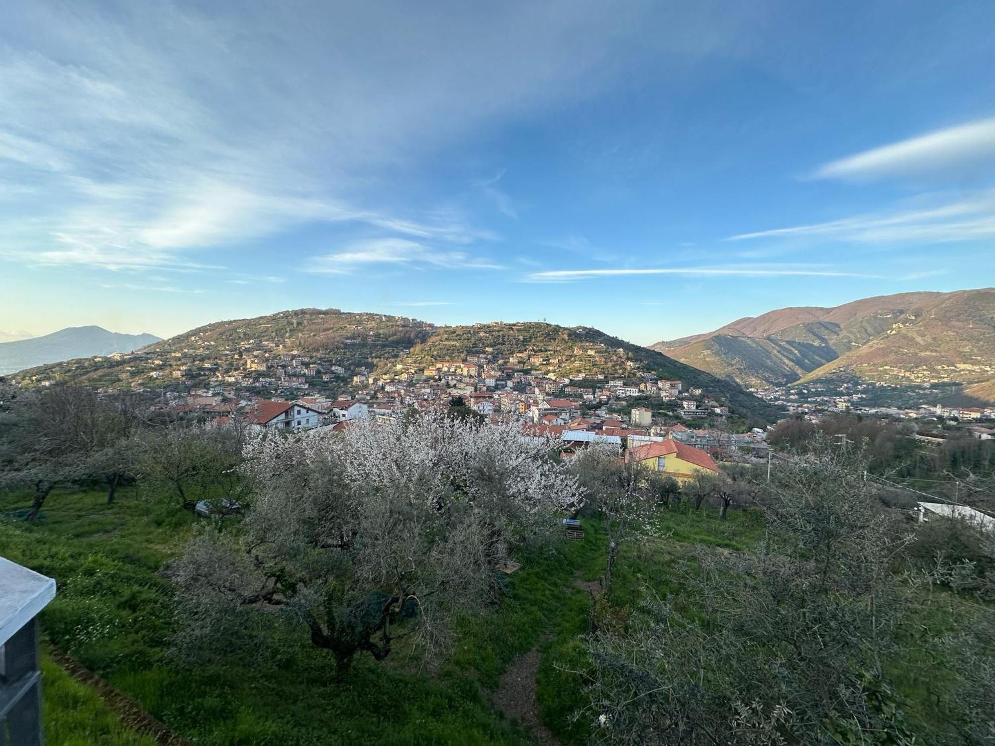 Bed And Breakfast Il Ceppo Wild Pimonte Exteriér fotografie