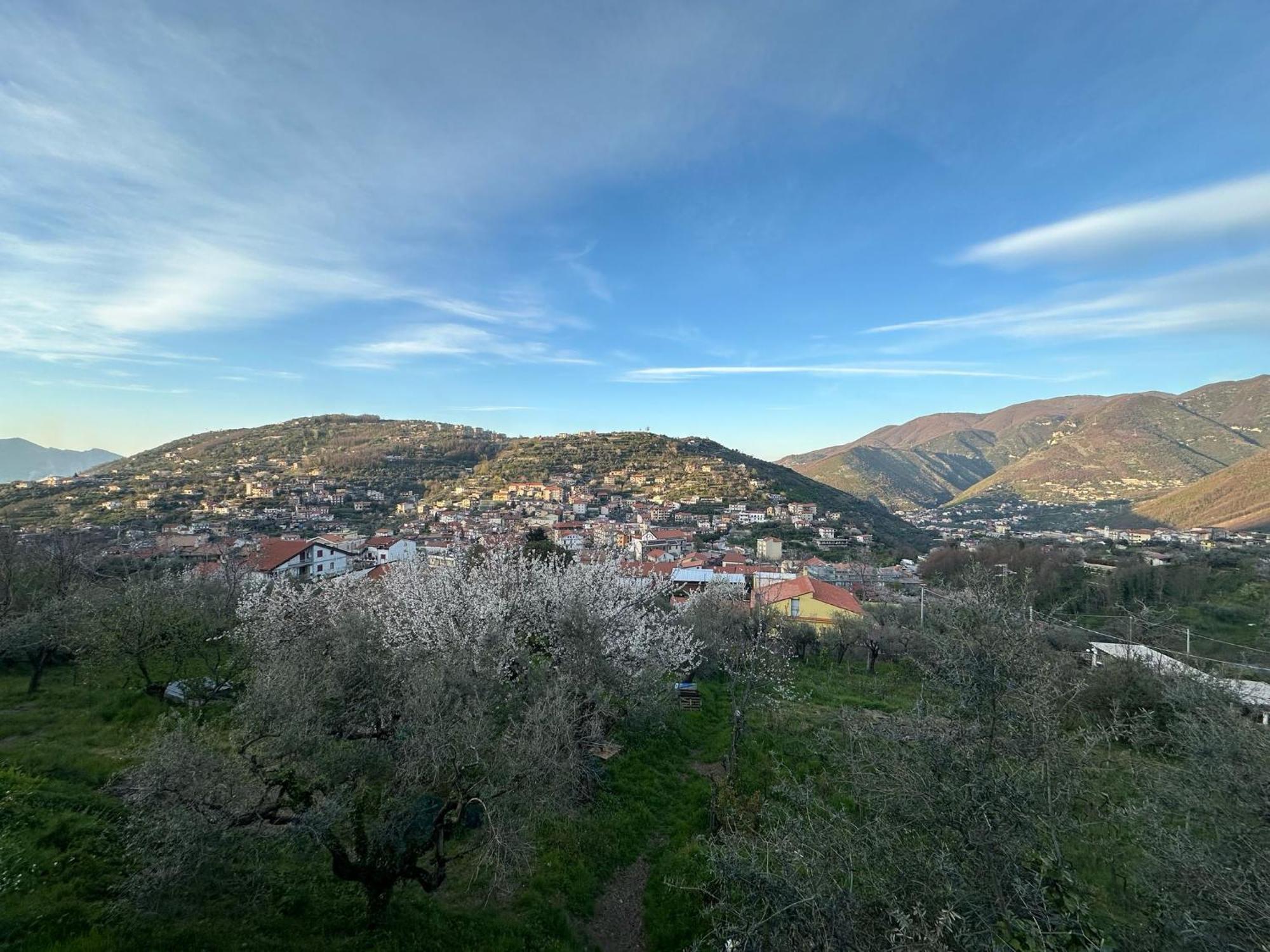 Bed And Breakfast Il Ceppo Wild Pimonte Exteriér fotografie