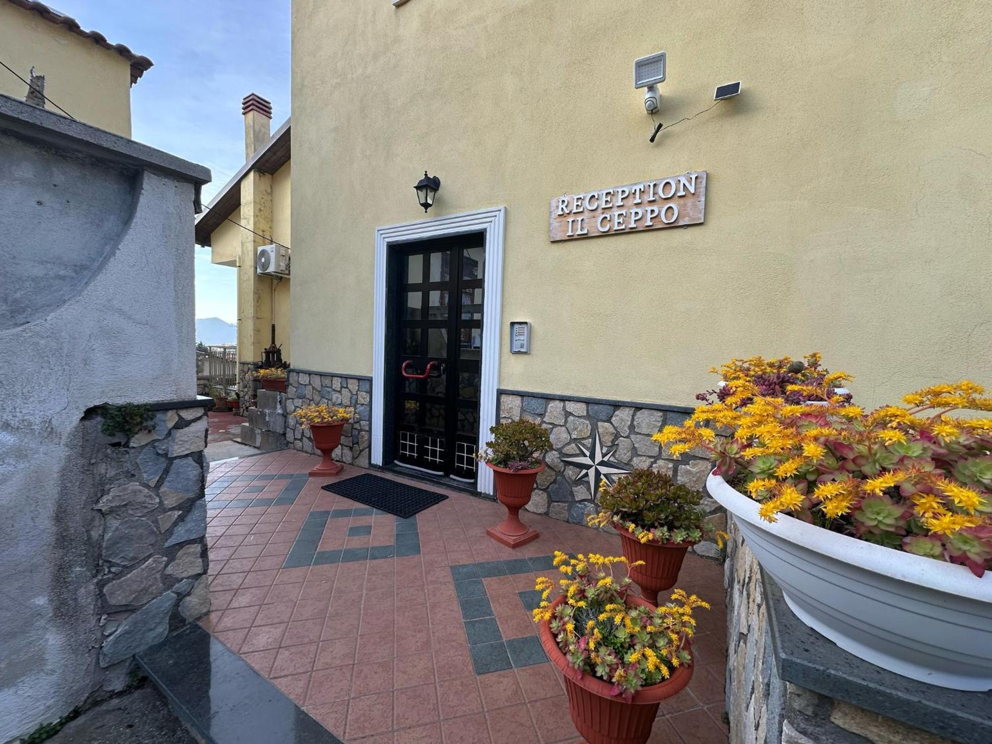 Bed And Breakfast Il Ceppo Wild Pimonte Exteriér fotografie